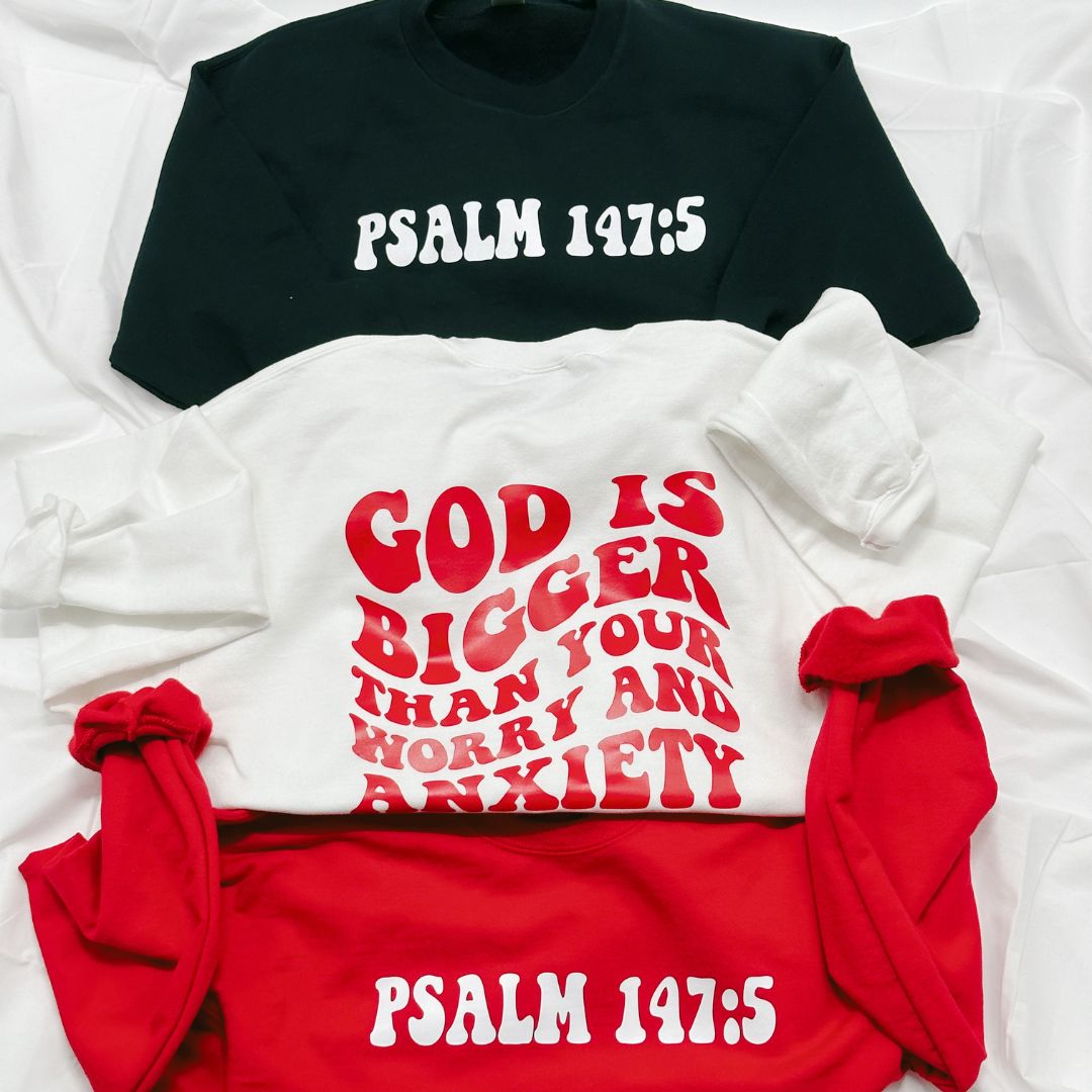 PSALM 147:5 Sweatshirt