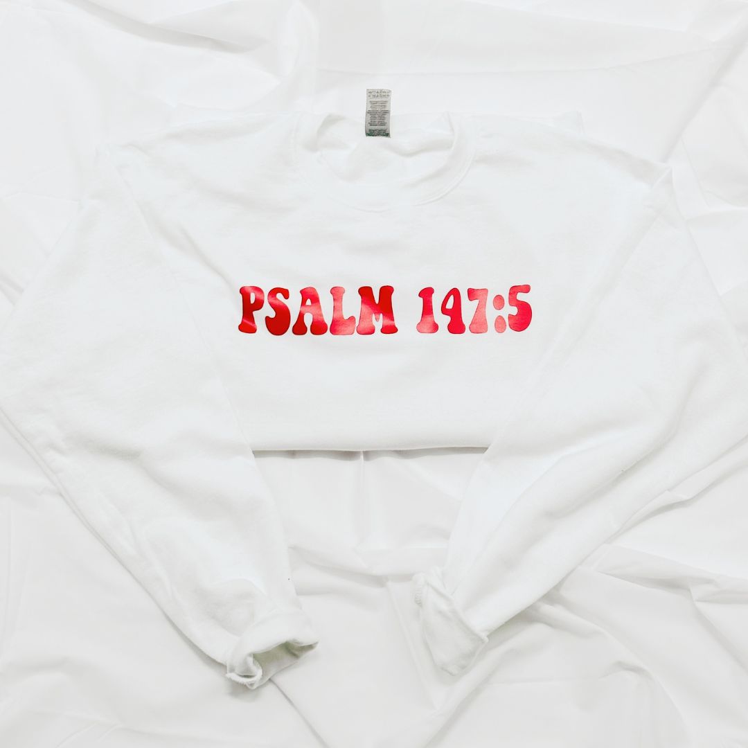 PSALM 147:5 Sweatshirt