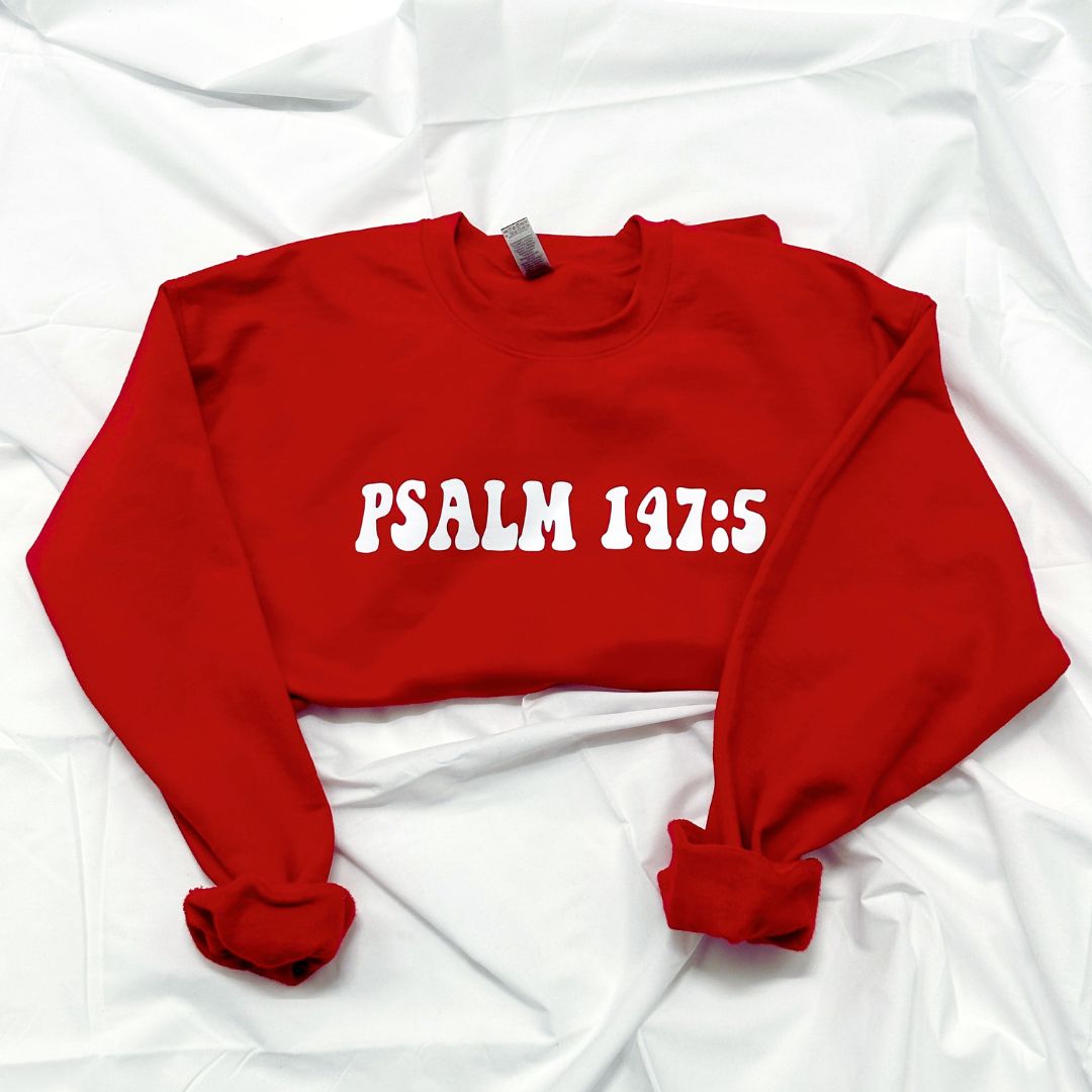 PSALM 147:5 Sweatshirt