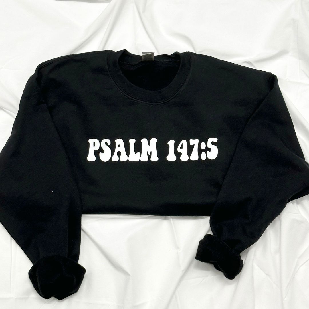 PSALM 147:5 Sweatshirt