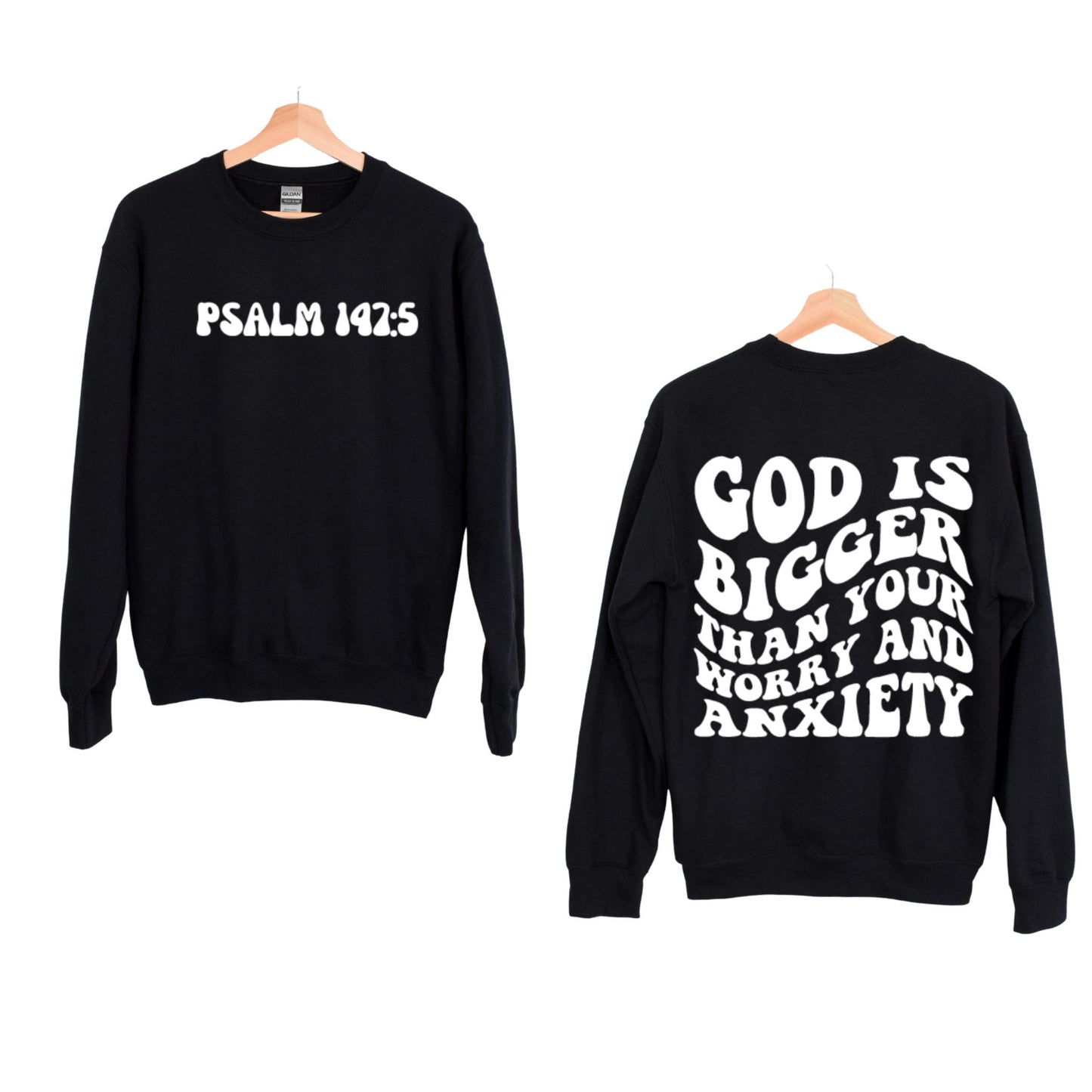 PSALM 147:5 Sweatshirt