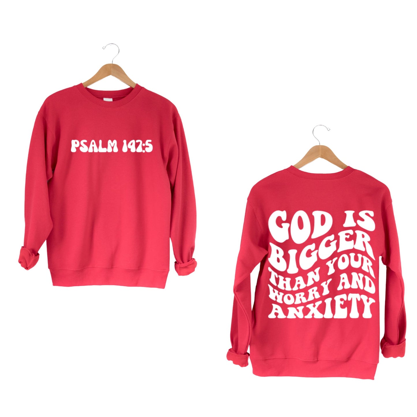 PSALM 147:5 Sweatshirt