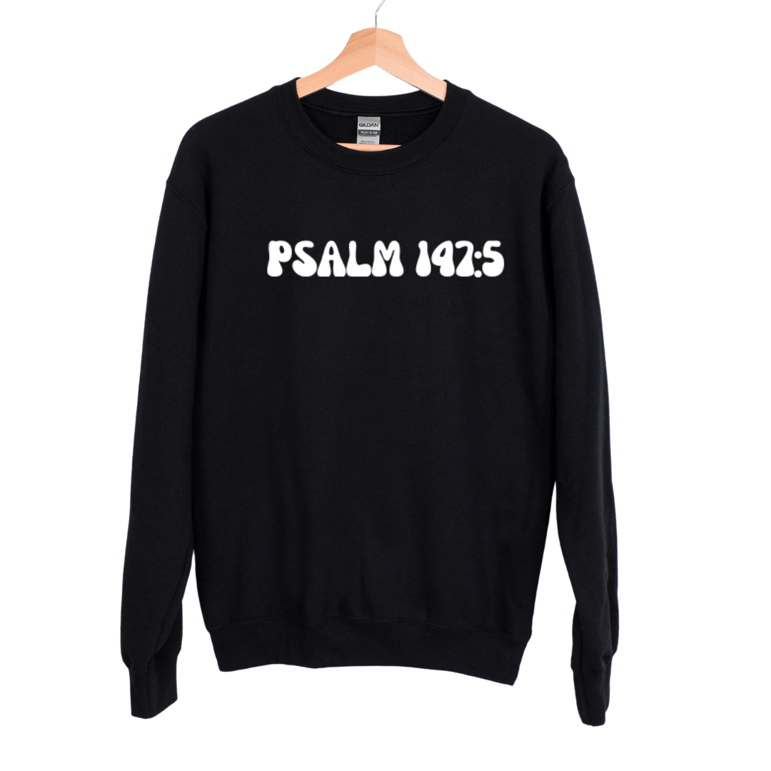 PSALM 147:5 Sweatshirt