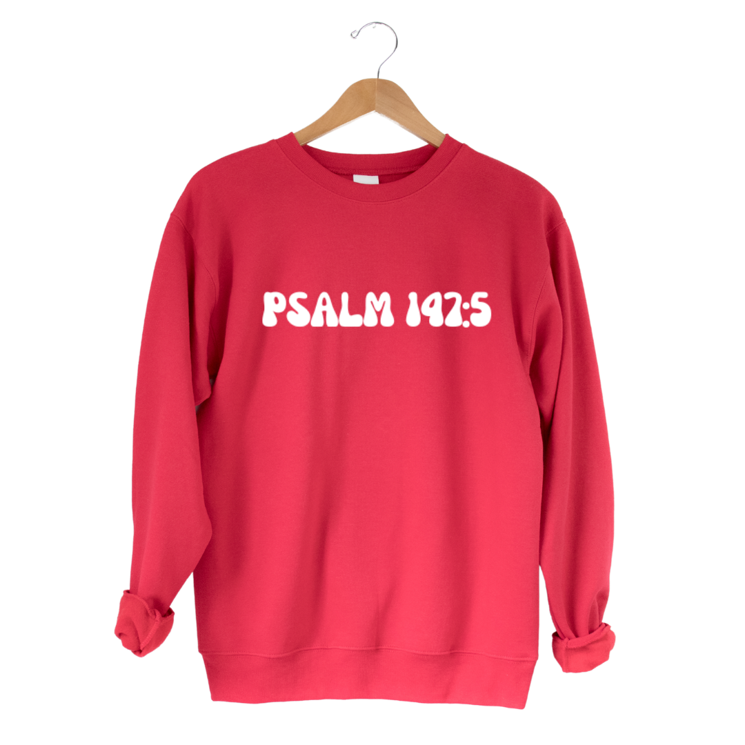 PSALM 147:5 Sweatshirt