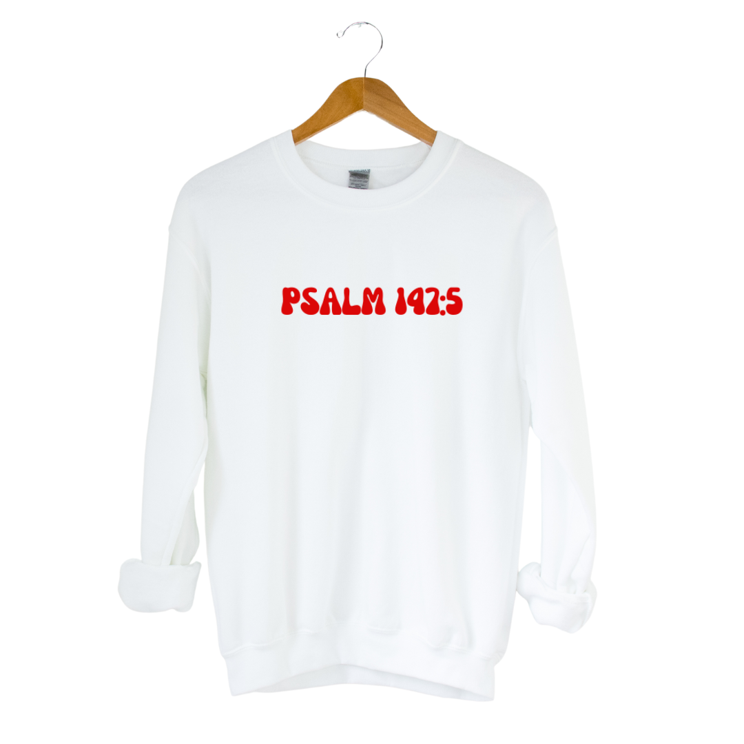 PSALM 147:5 Sweatshirt